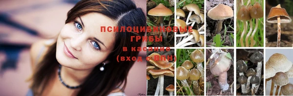 твердый Алексеевка