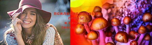 бошки Алексин