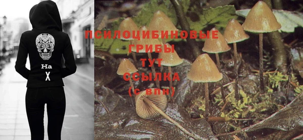 PSILOCYBIN Алзамай