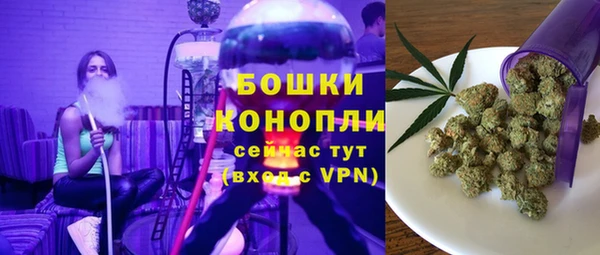 бошки Алексин